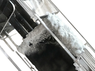 Starke Kalkablagerungen auf den Zellenblättern