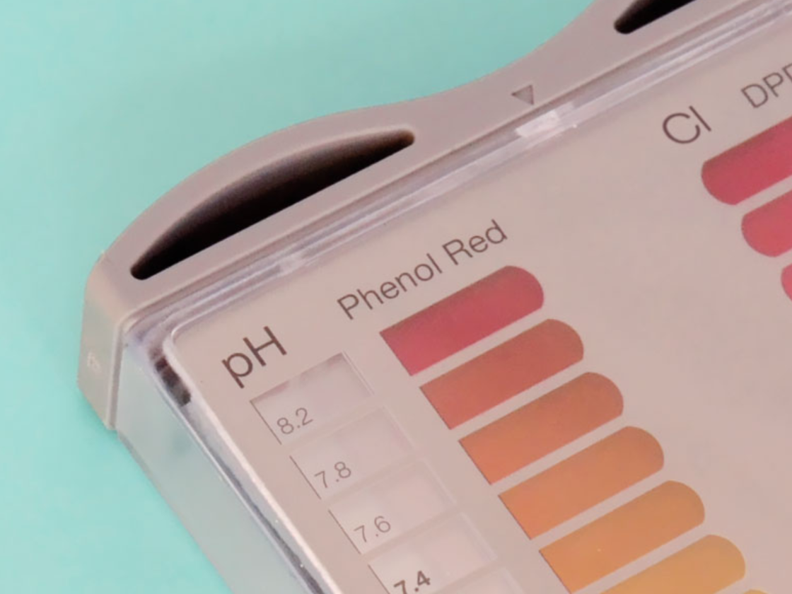 pooltester-phcl_Gallery-4