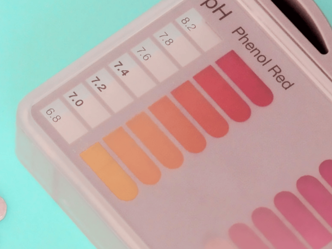 pooltester-pho2_Gallery