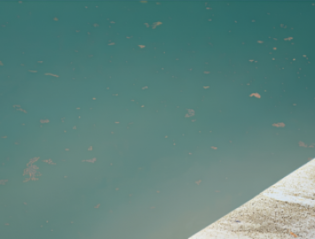 eau-trouble-laiteuse_TeaserHighlight