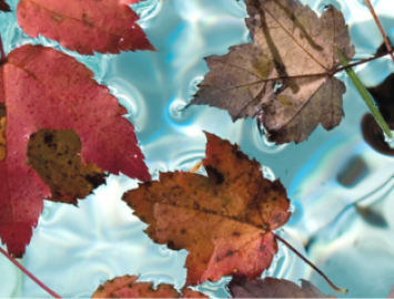 hivernage_TeaserHighlight