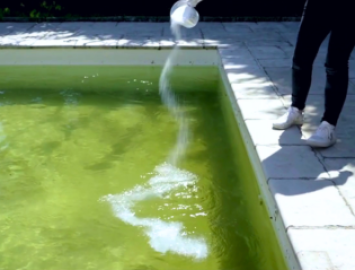 Traitement-eau-verte_TeaserHighlight